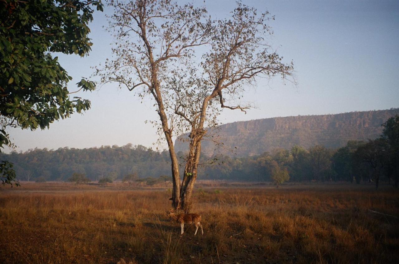 Bandhavgarh Jungle Lodge Tala  Exterior photo