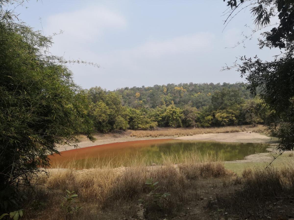 Bandhavgarh Jungle Lodge Tala  Exterior photo