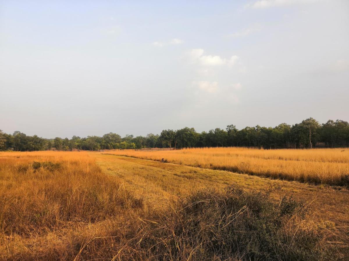 Bandhavgarh Jungle Lodge Tala  Exterior photo
